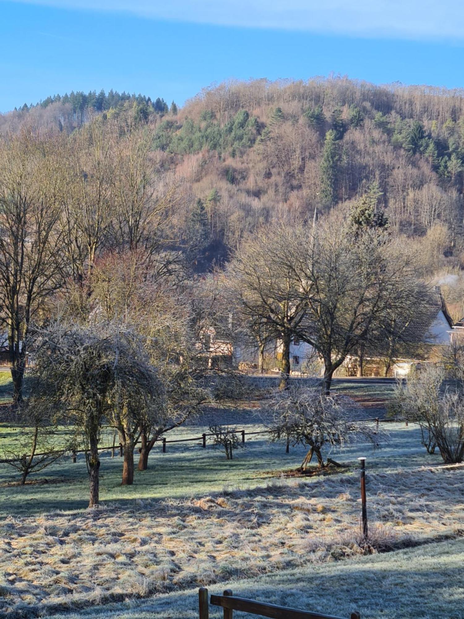 Ferienwohnung Burgblick Pelm エクステリア 写真
